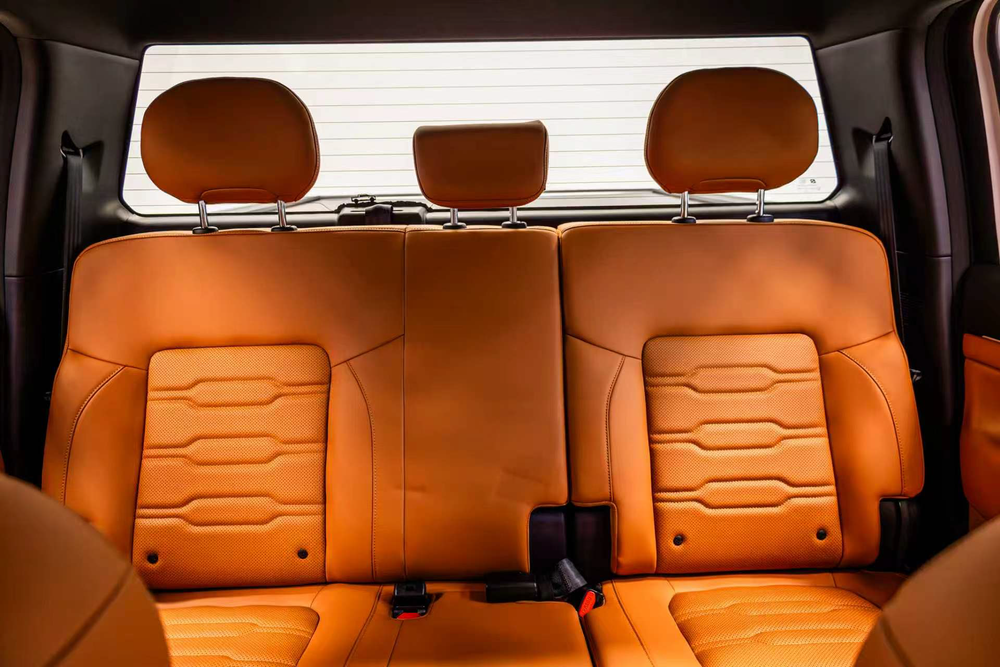 SPRUCE Z900 PHEV interior